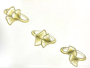 2E3E5BD0-ABA5-4E43-B4EE-3C58EECD0186