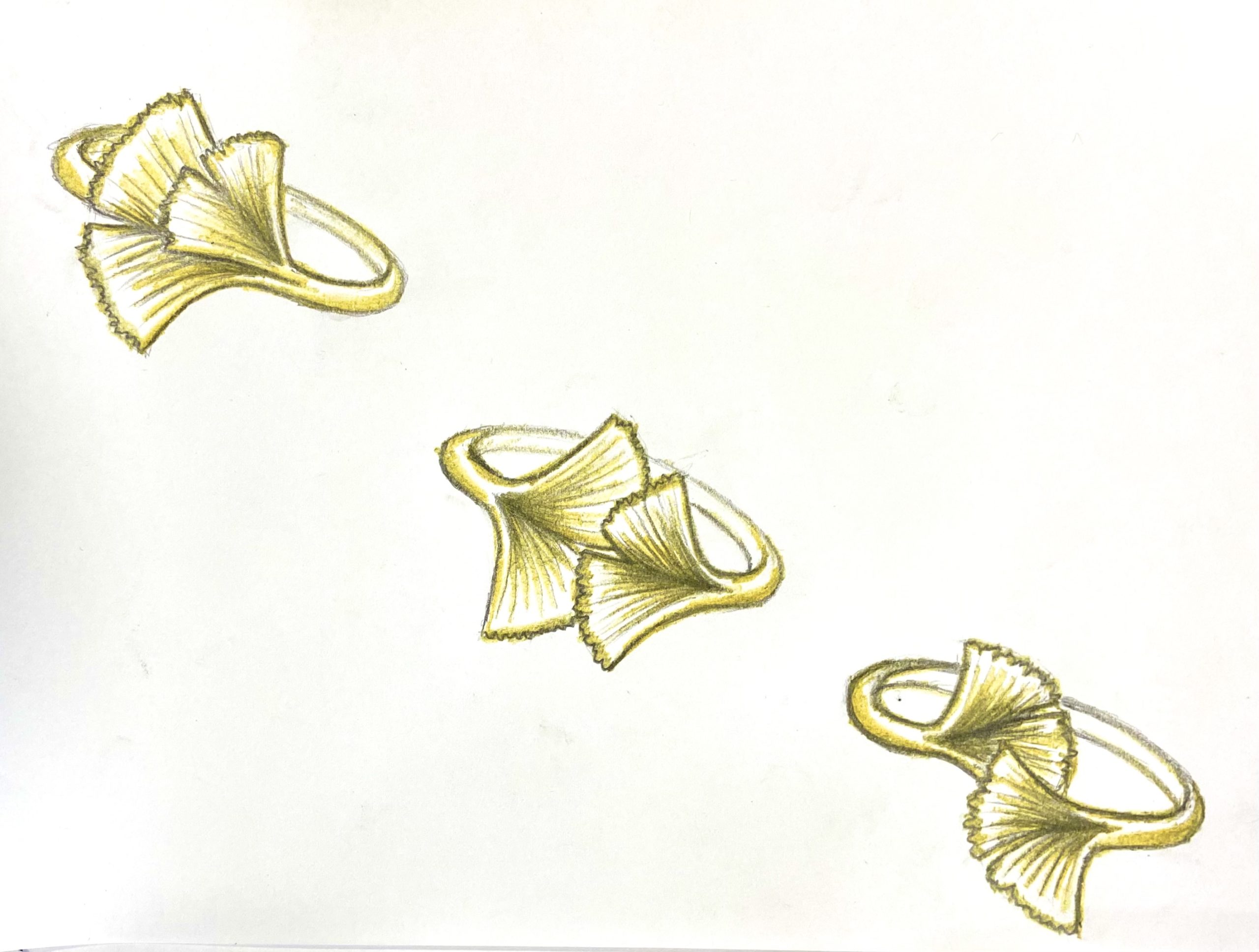 2E3E5BD0-ABA5-4E43-B4EE-3C58EECD0186