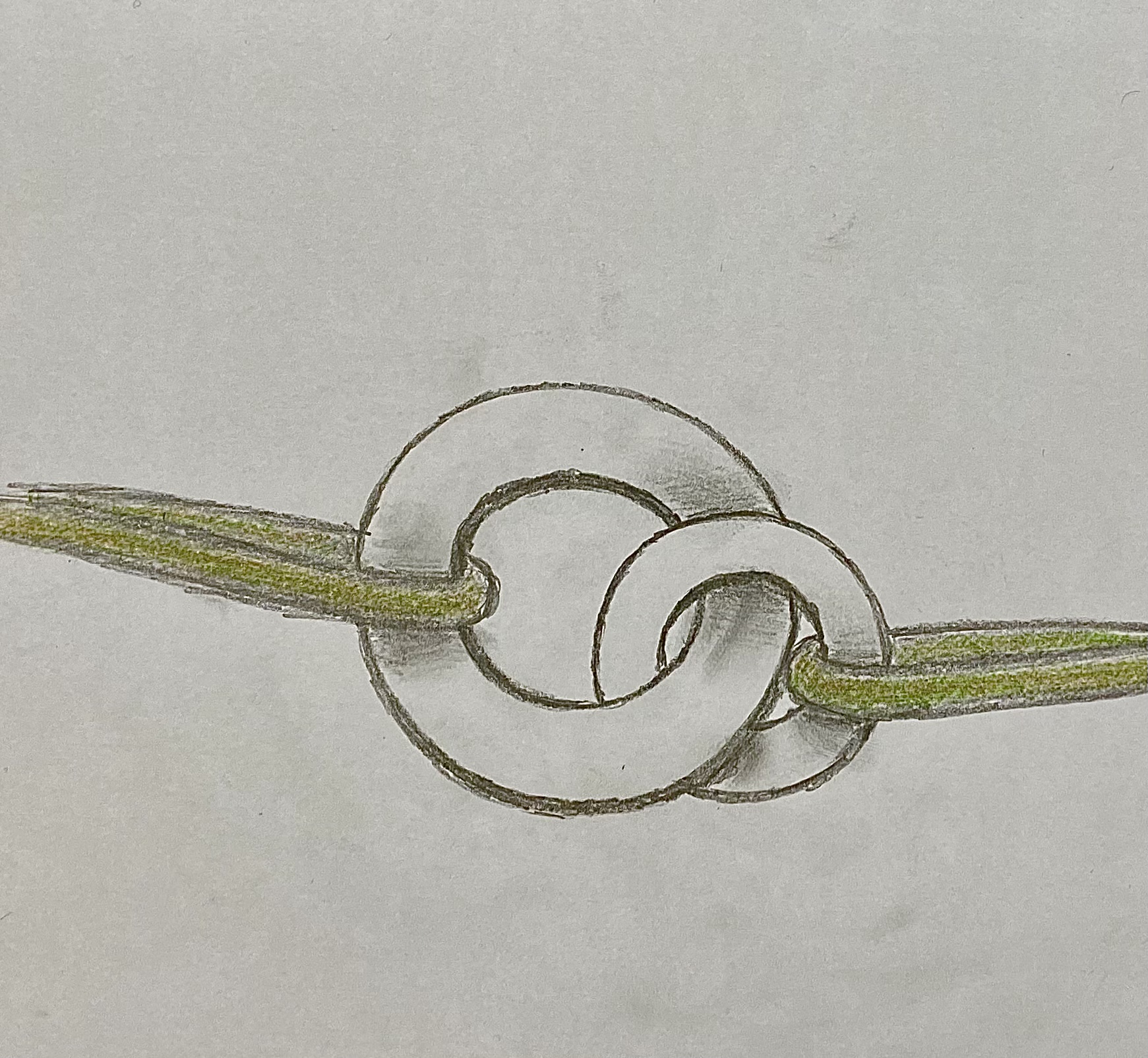 D00C043E-00D4-4E1C-BA15-456A395FE908