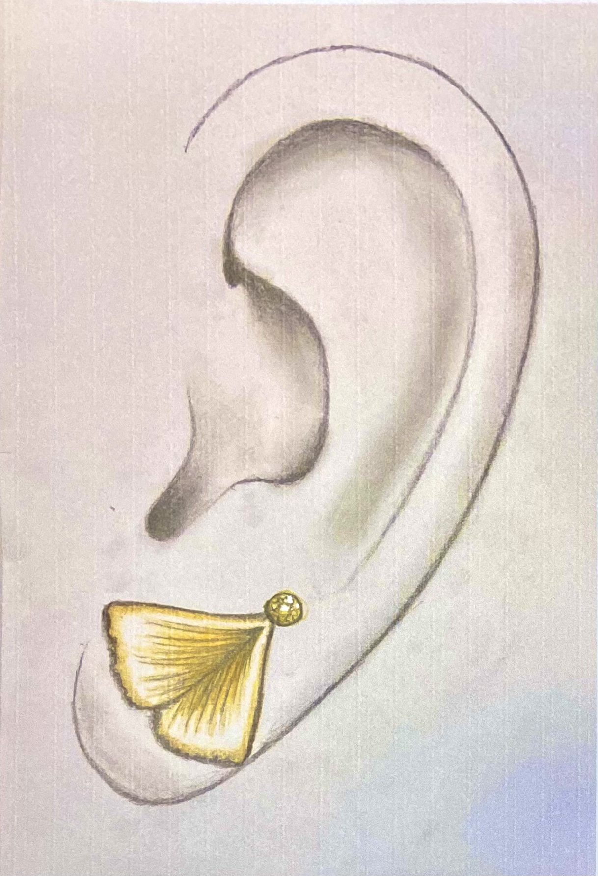 FF65F0C7-5250-4011-B795-18B0A066FFFC